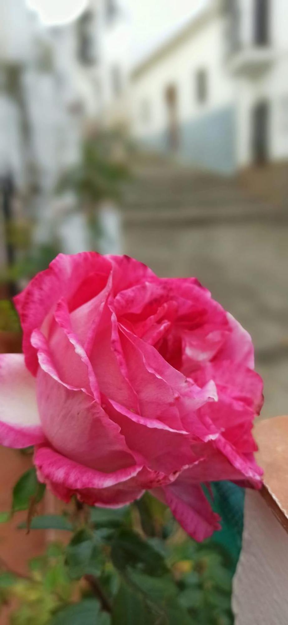 Appartamento Casa Rustica Ronda Esterno foto
